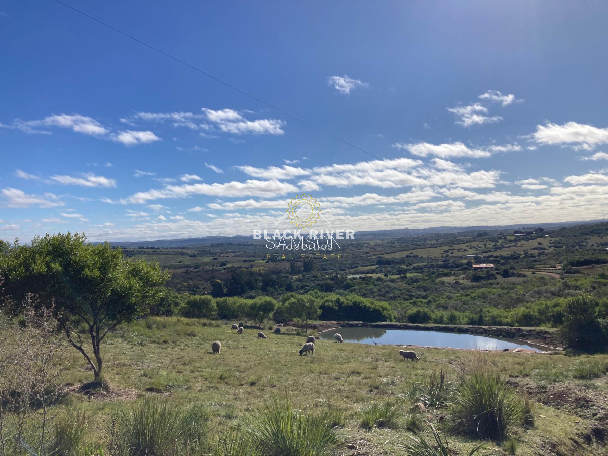 Chacra ID.66966 - Chacra en venta las cañas Maldonado 
