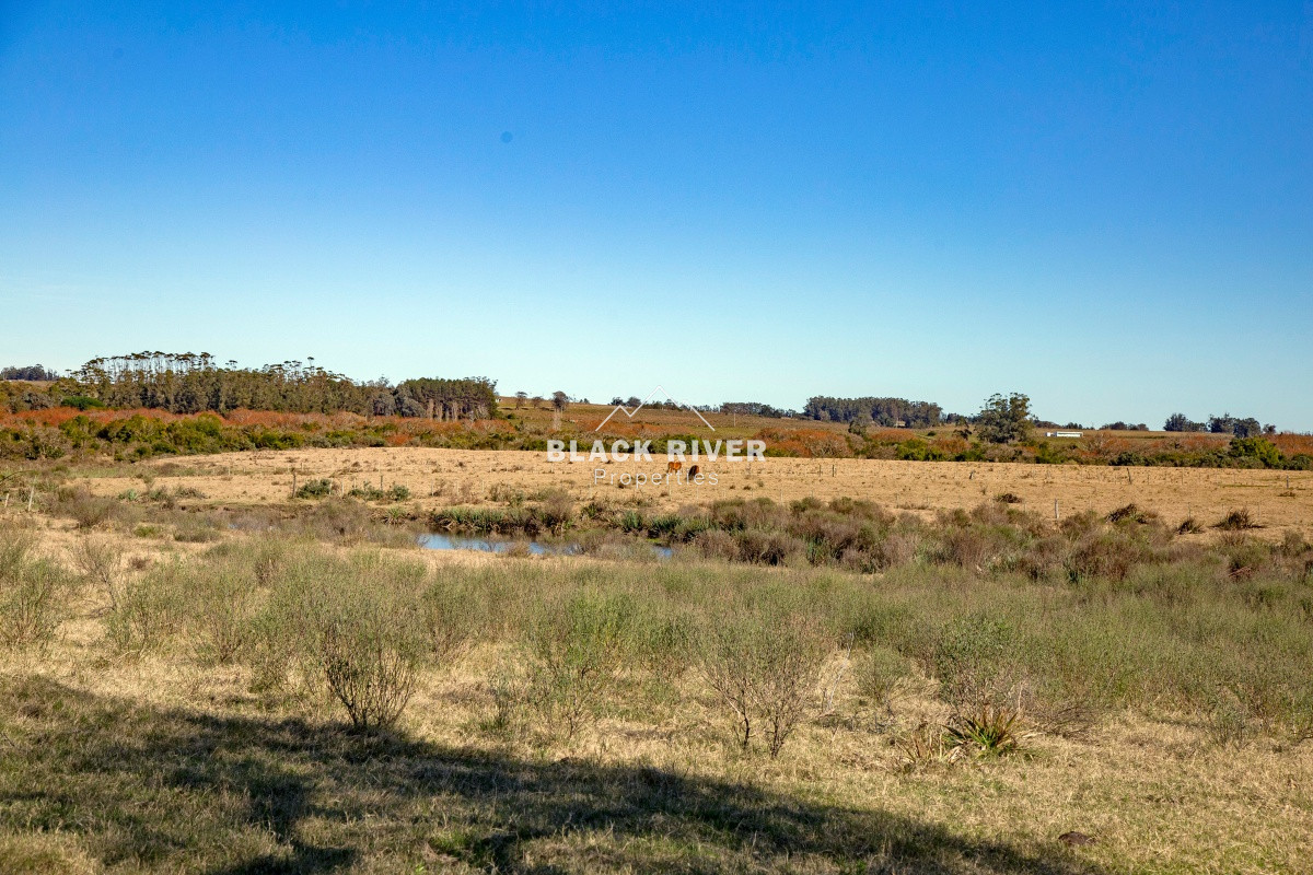 Chacra ID.62713 - Venta chacra de 2 dormitorios con arroyo Jose Ignacio 