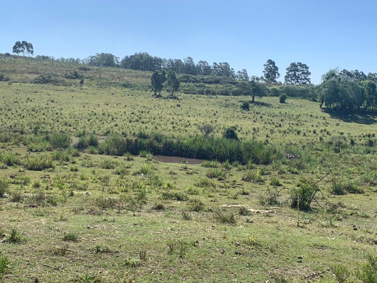 Chacra ID.63911 - VENTA CHACRA DE 5 HECTÁREAS 