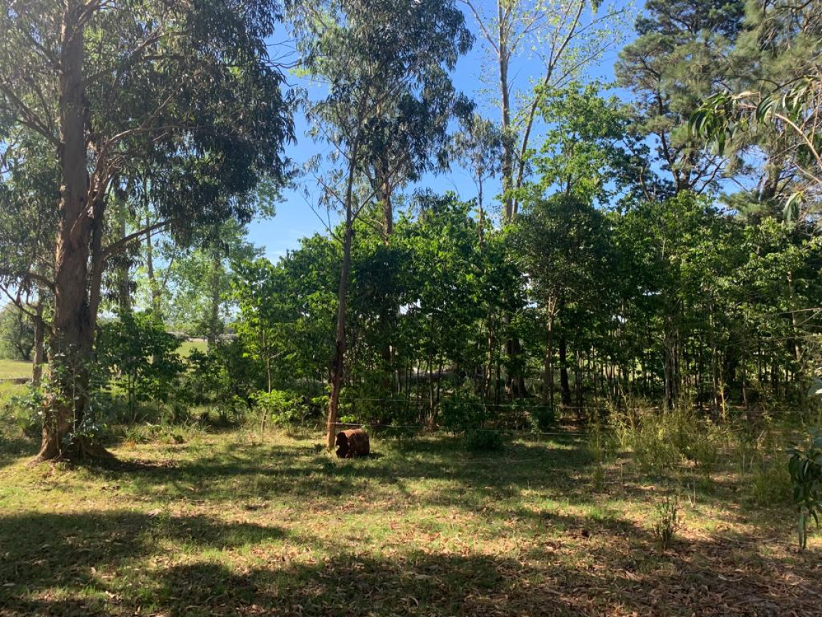 Chacra ID.63911 - VENTA CHACRA DE 5 HECTÁREAS 