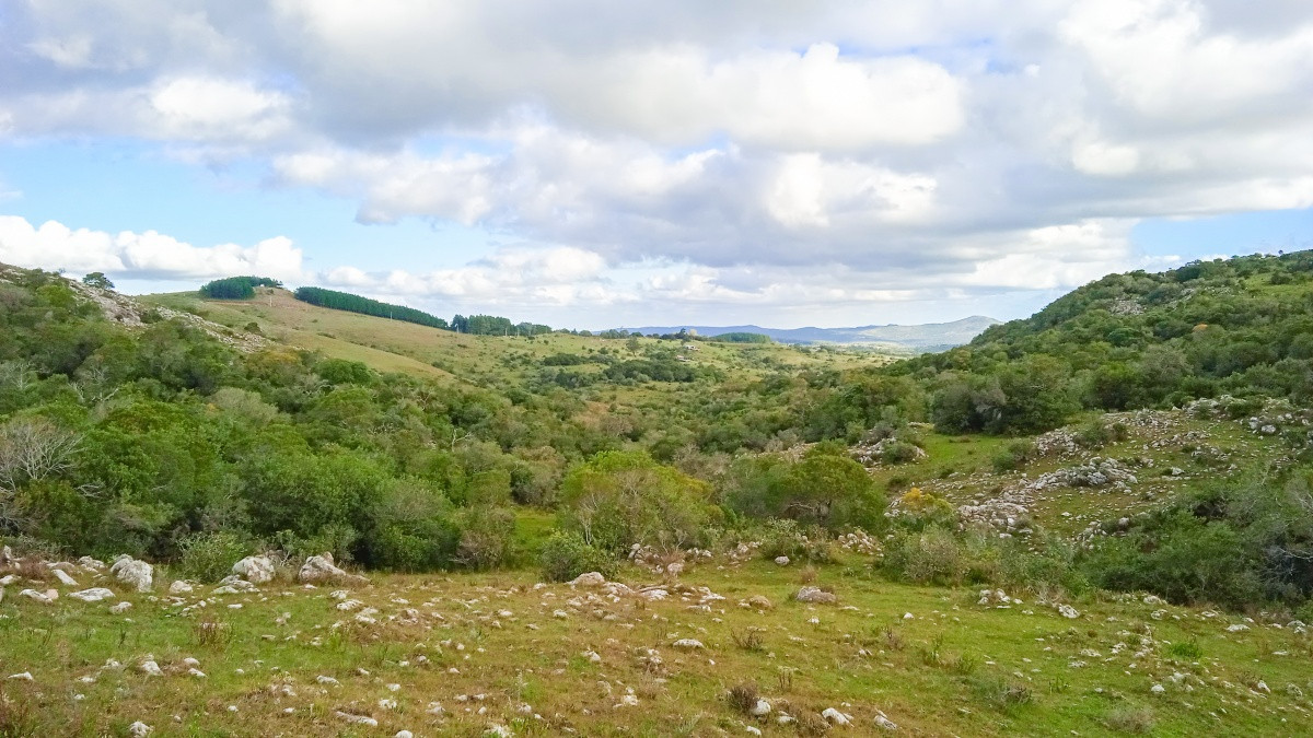 Chacra ID.63931 - Oportunidad Venta de chacras en Ruta 12