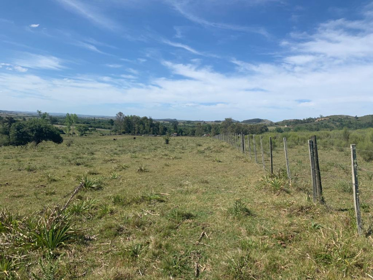 Chacra ID.63911 - VENTA CHACRA DE 5 HECTÁREAS 