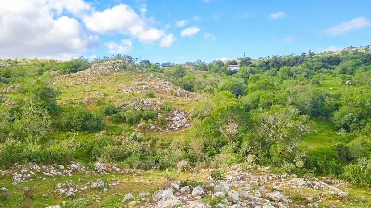 Chacra ID.63931 - Oportunidad Venta de chacras en Ruta 12