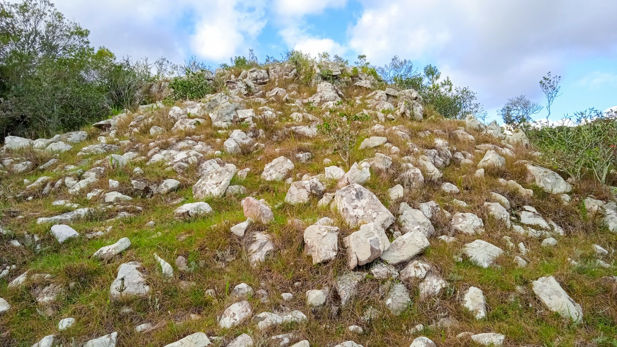 Chacra ID.63931 - Oportunidad Venta de chacras en Ruta 12