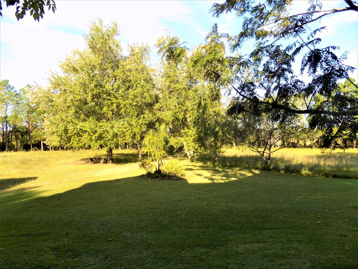 Chacra ID.27 - Venta Chacra 5 dormitorios Punta ballena, Maldonado