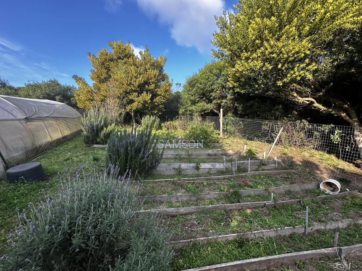 Chacra ID.66965 - Chacra de 5 hectareas con Piscina climatizada y vistas en venta - Las cañas 