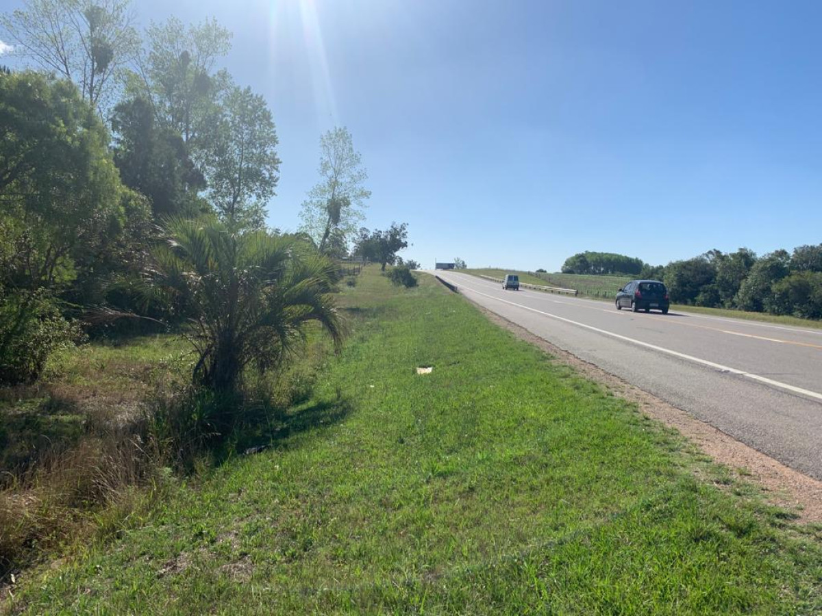 Chacra ID.63911 - VENTA CHACRA DE 5 HECTÁREAS 