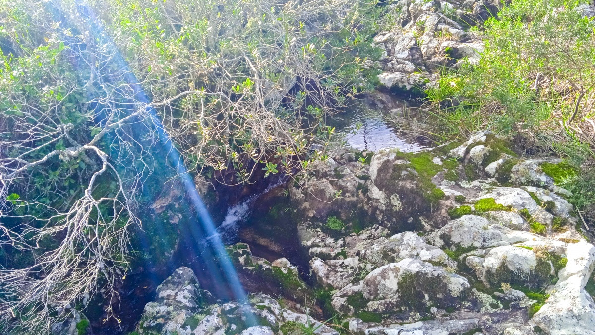 Chacra ID.63931 - Oportunidad Venta de chacras en Ruta 12
