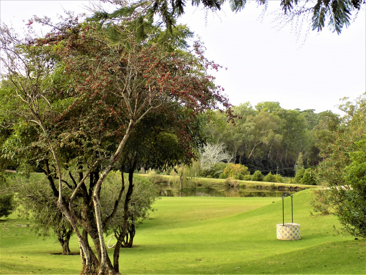 Chacra ID.28 - venta de chacra Marítimo de 4 dormitorios punta ballena maldonado