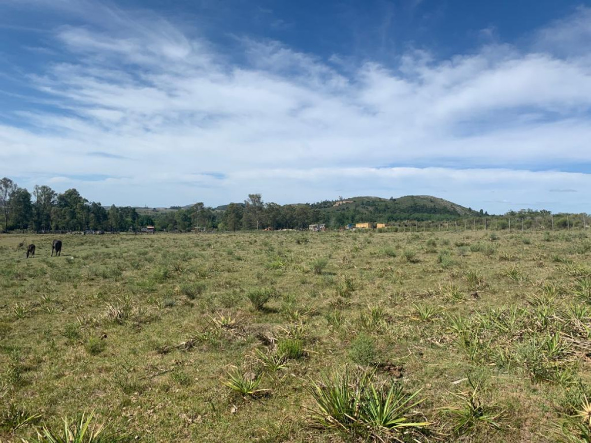 Chacra ID.63911 - VENTA CHACRA DE 5 HECTÁREAS 