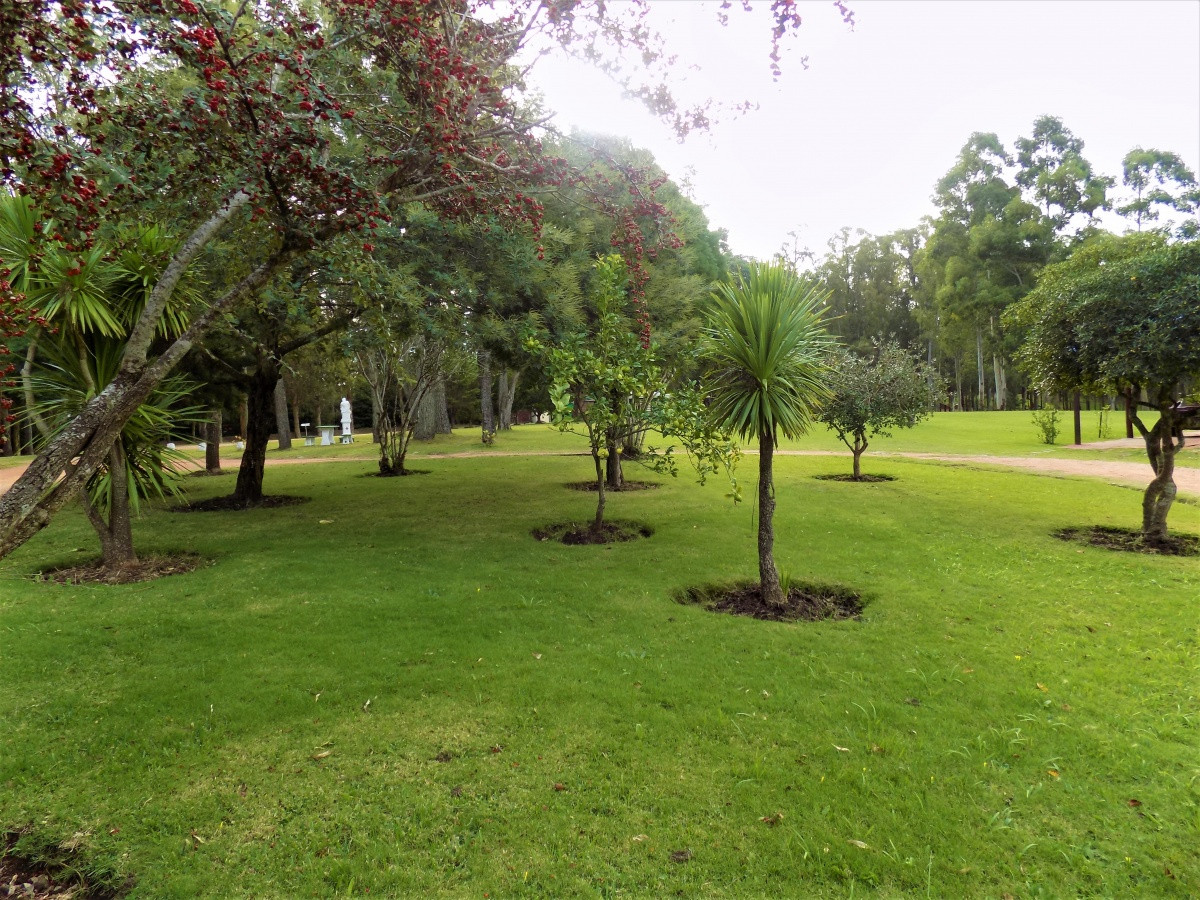 Chacra ID.28 - venta de chacra Marítimo de 4 dormitorios punta ballena maldonado
