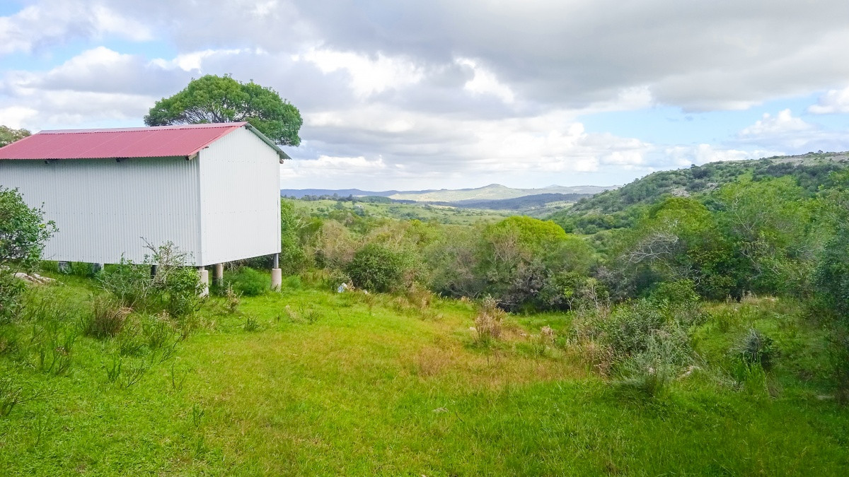 Chacra ID.63931 - Oportunidad Venta de chacras en Ruta 12