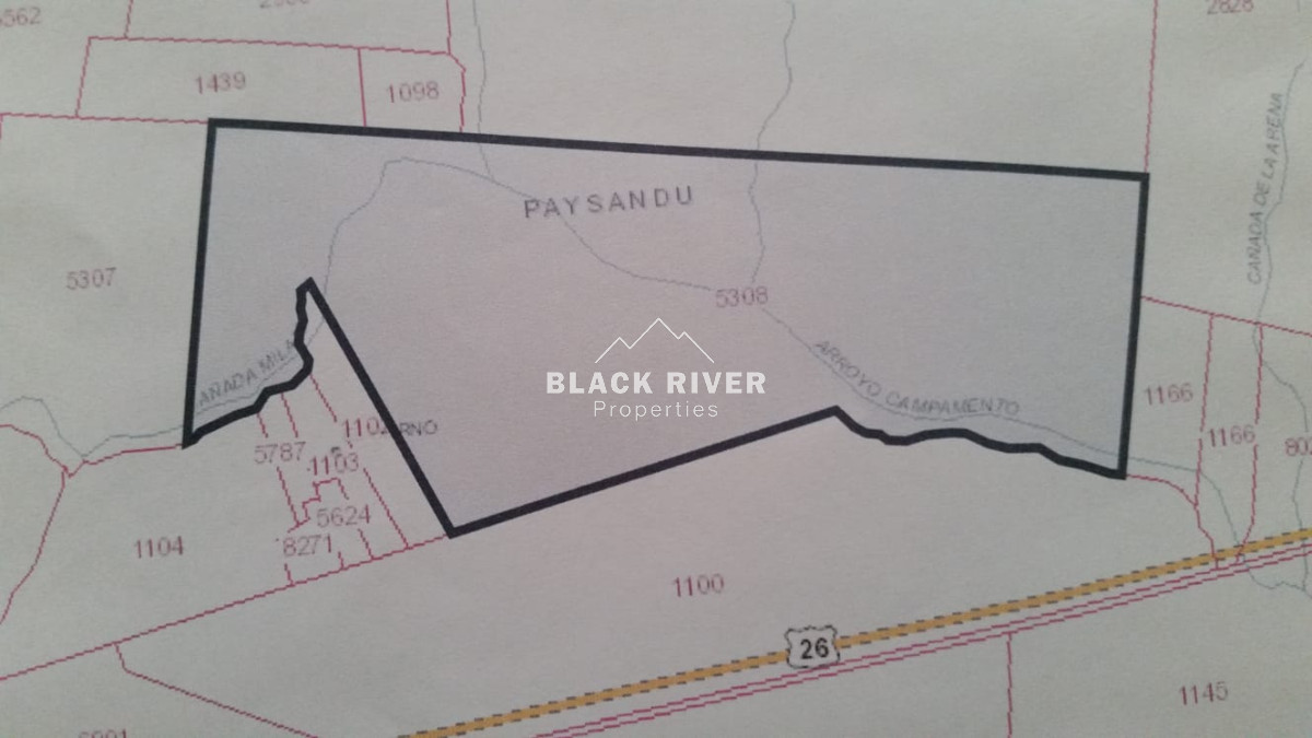 Campo Ref.64084 - Venta de campo ganadero-agricola en Paysandu