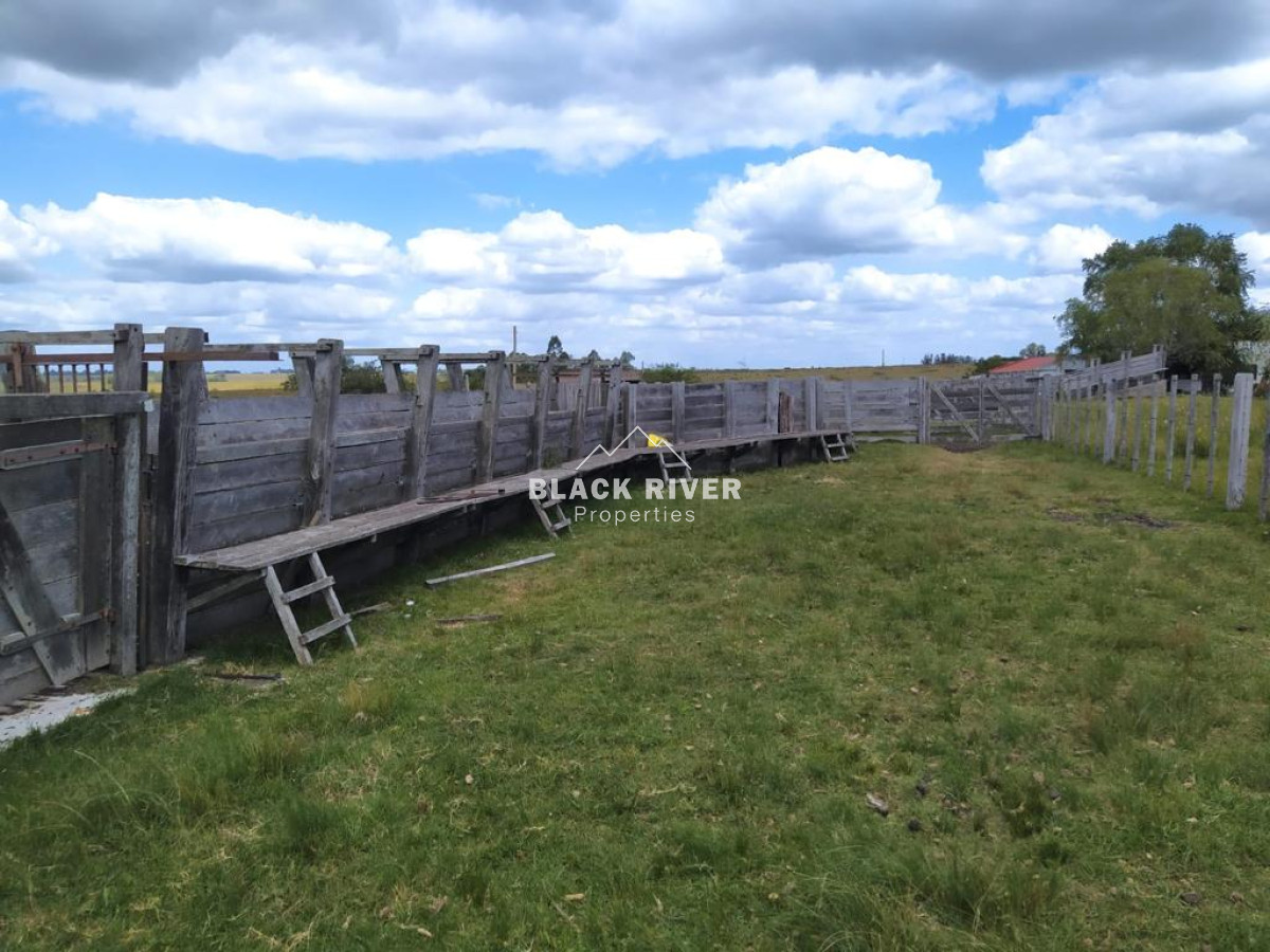 Campo Ref.64192 - Oportunidad de campo agricola e ganadero en venta florida uruguay