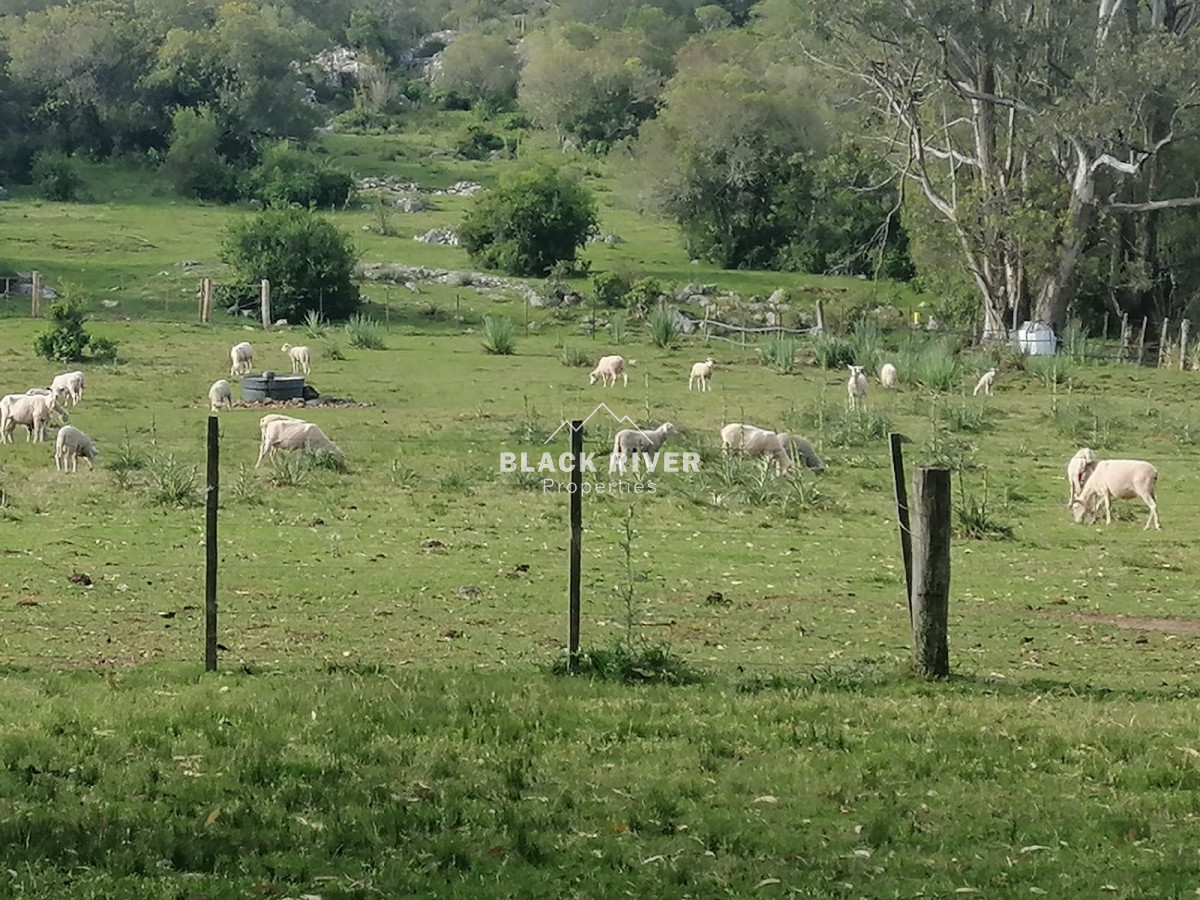 Campo Ref.64111 - Campo en venta 28 hás. Paraje Salamanca.