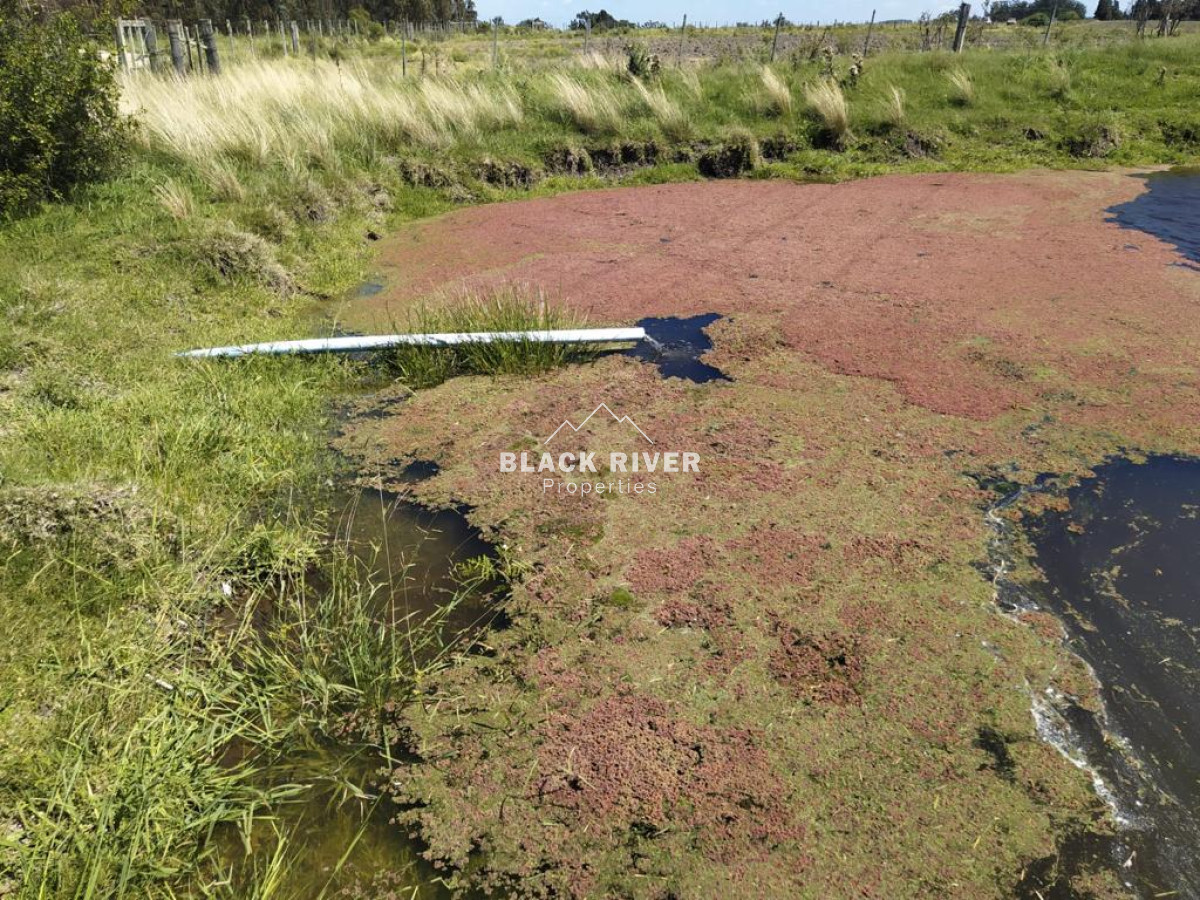 Campo Ref.64192 - Oportunidad de campo agricola e ganadero en venta florida uruguay