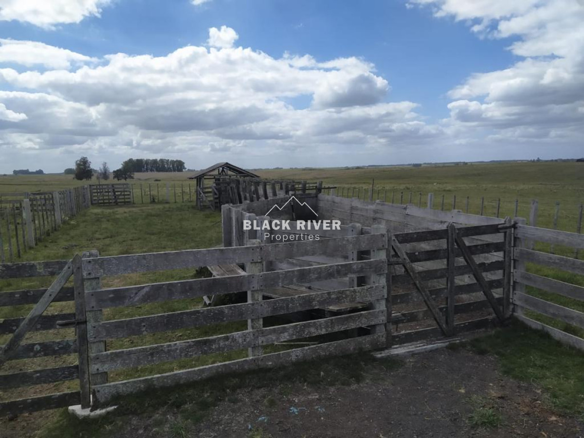 Campo Ref.64192 - Oportunidad de campo agricola e ganadero en venta florida uruguay