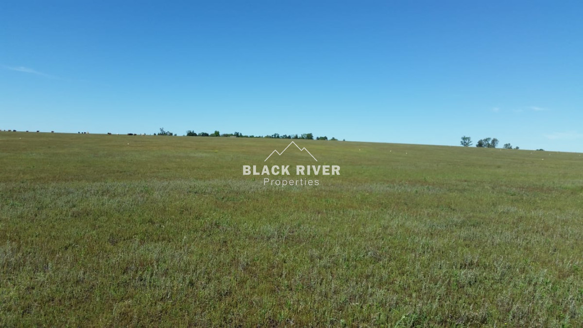 Campo Ref.64084 - Venta de campo ganadero-agricola en Paysandu