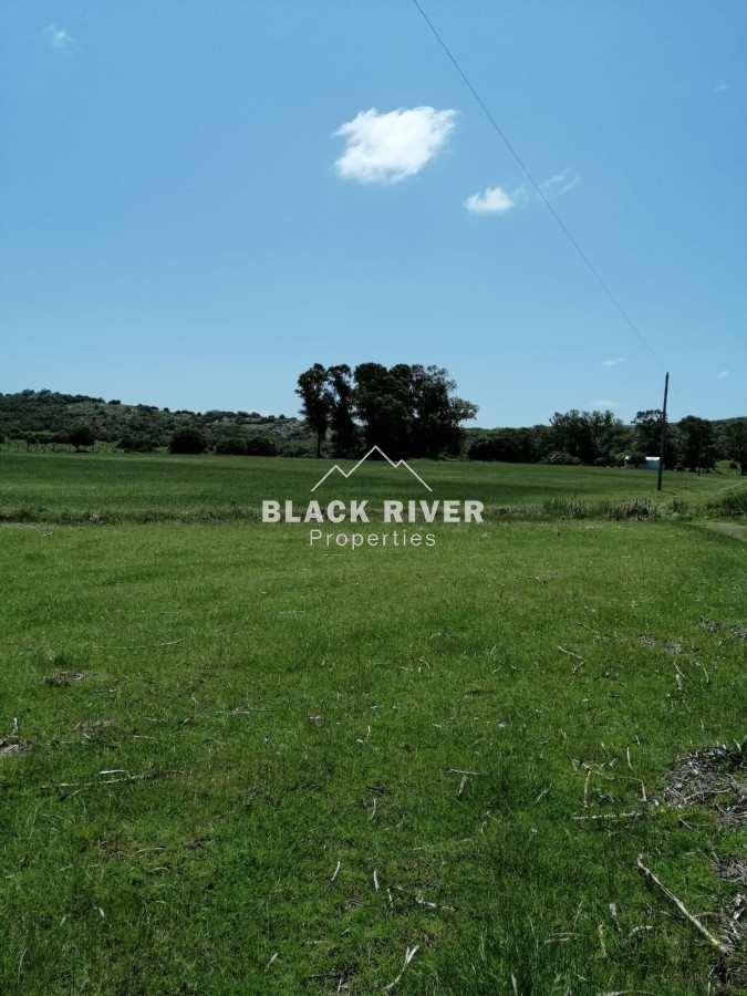 Campo Ref.64111 - Campo en venta 28 hás. Paraje Salamanca.