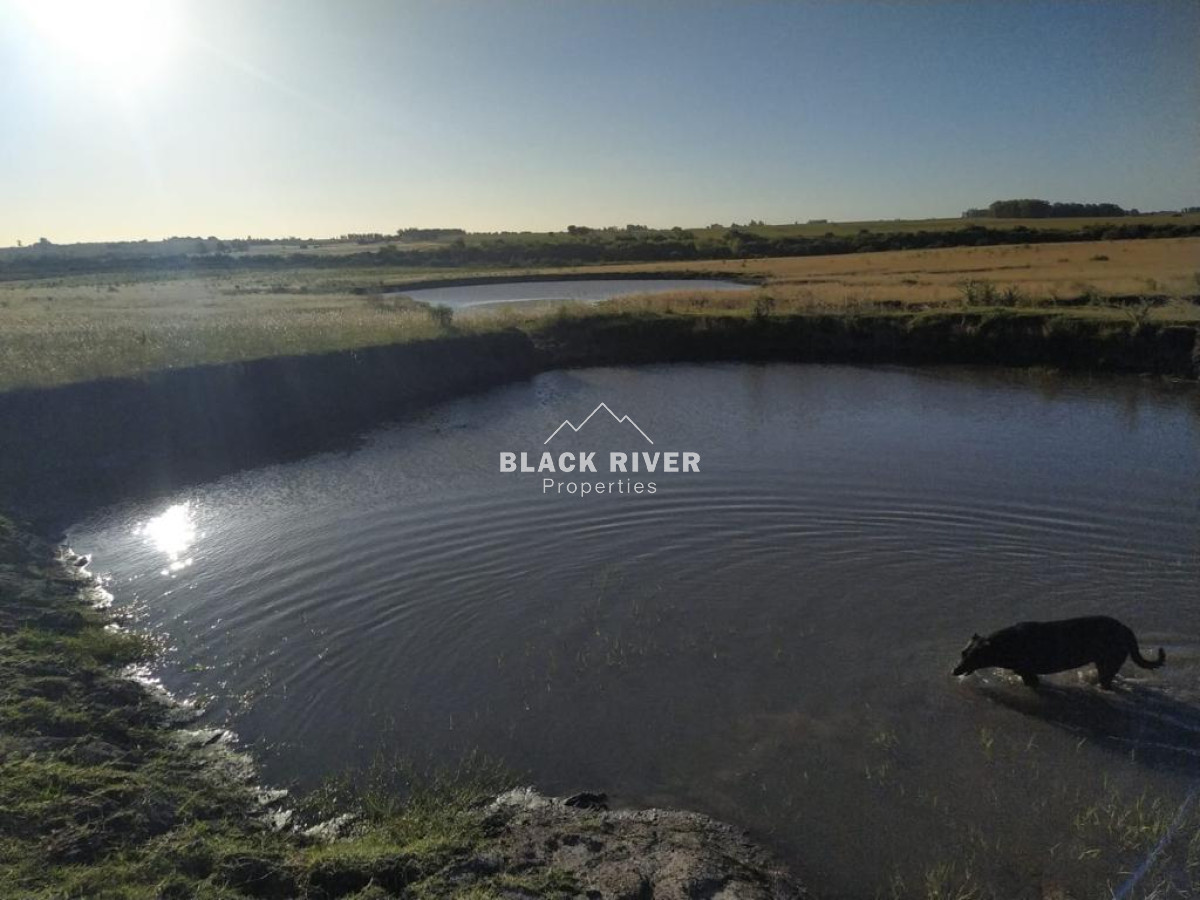 Campo Ref.64192 - Oportunidad de campo agricola e ganadero en venta florida uruguay