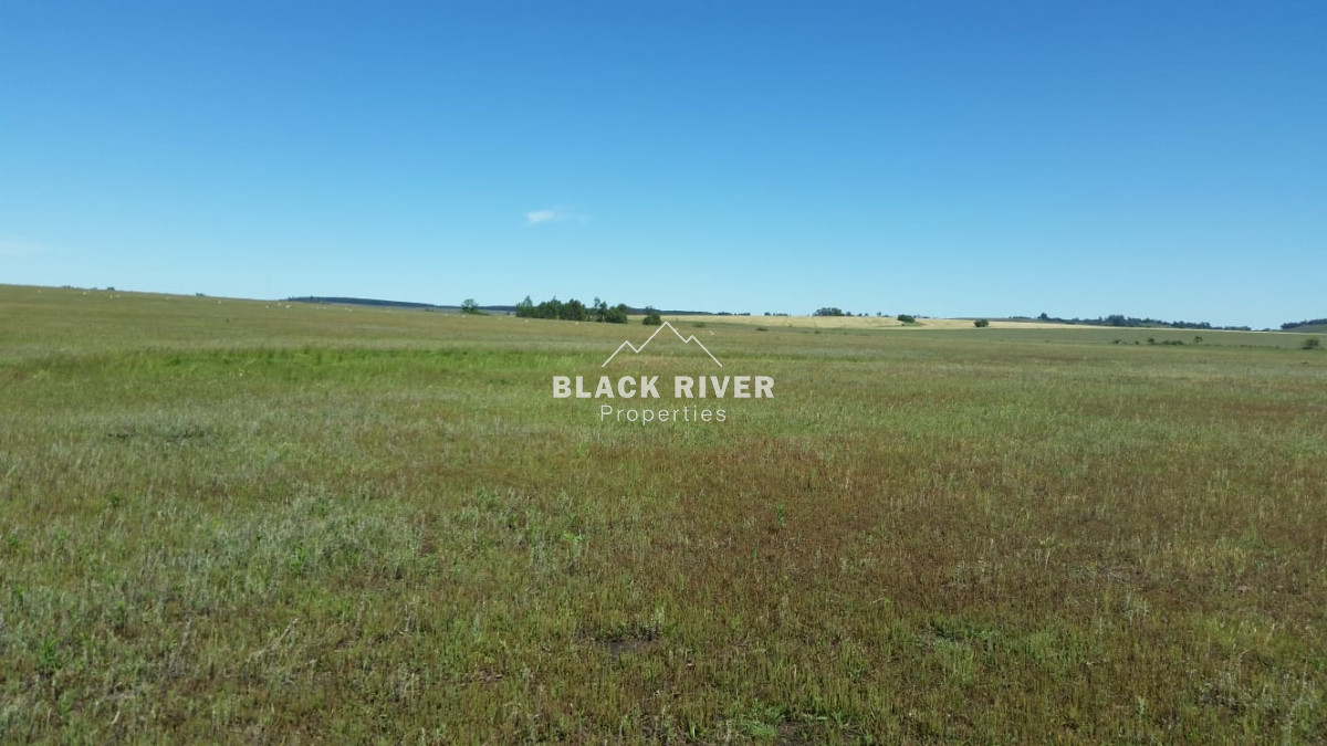 Campo Ref.64084 - Venta de campo ganadero-agricola en Paysandu