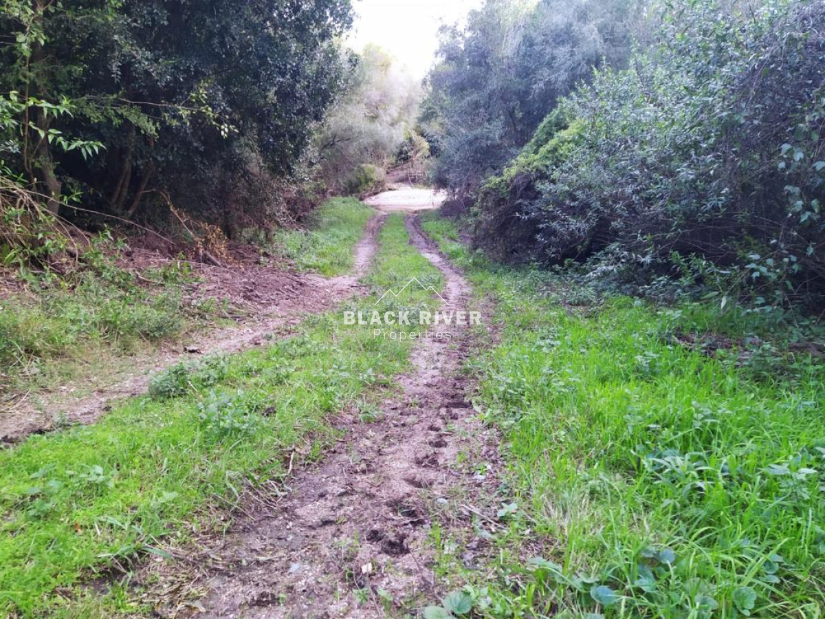 Campo Ref.64192 - Oportunidad de campo agricola e ganadero en venta florida uruguay