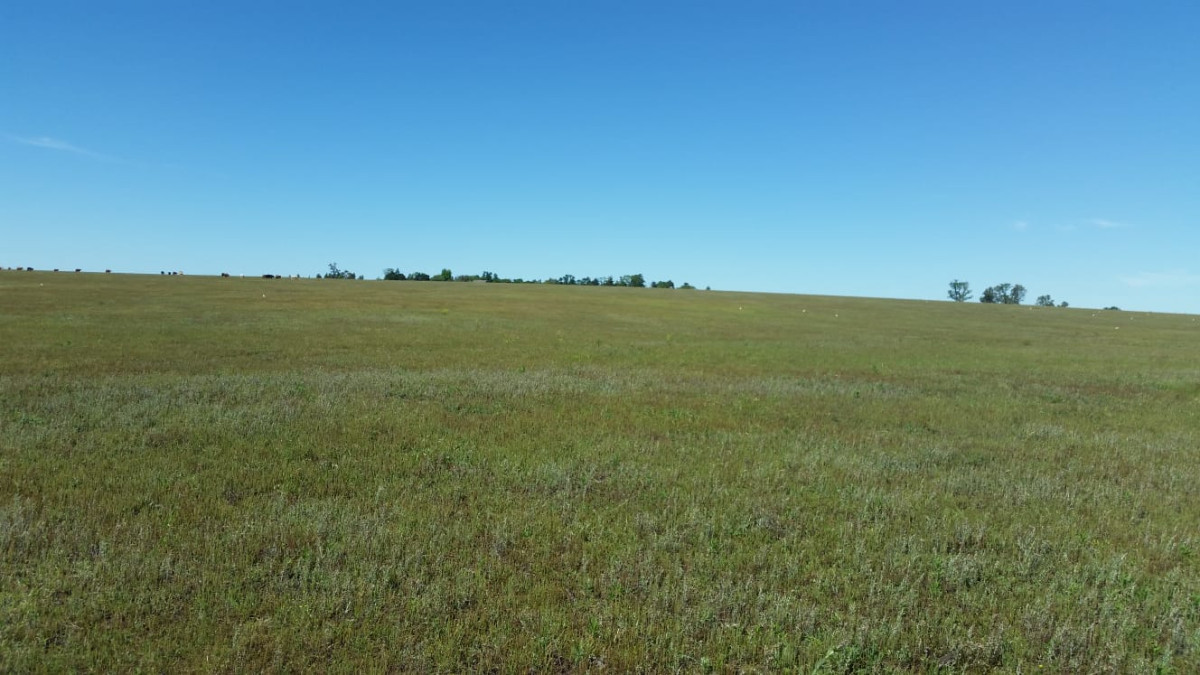 Campo Ref.64084 - Venta de campo ganadero-agricola en Paysandu