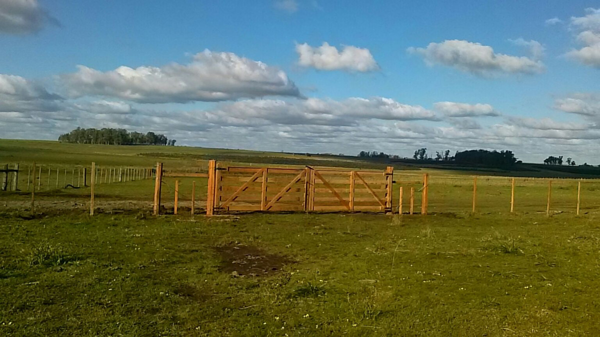 Campo Ref.64084 - Venta de campo ganadero-agricola en Paysandu