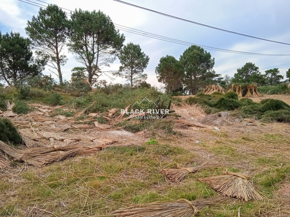 Terreno ID.64315 - Terreno Venta en Piedras del Chileno Punta del Este