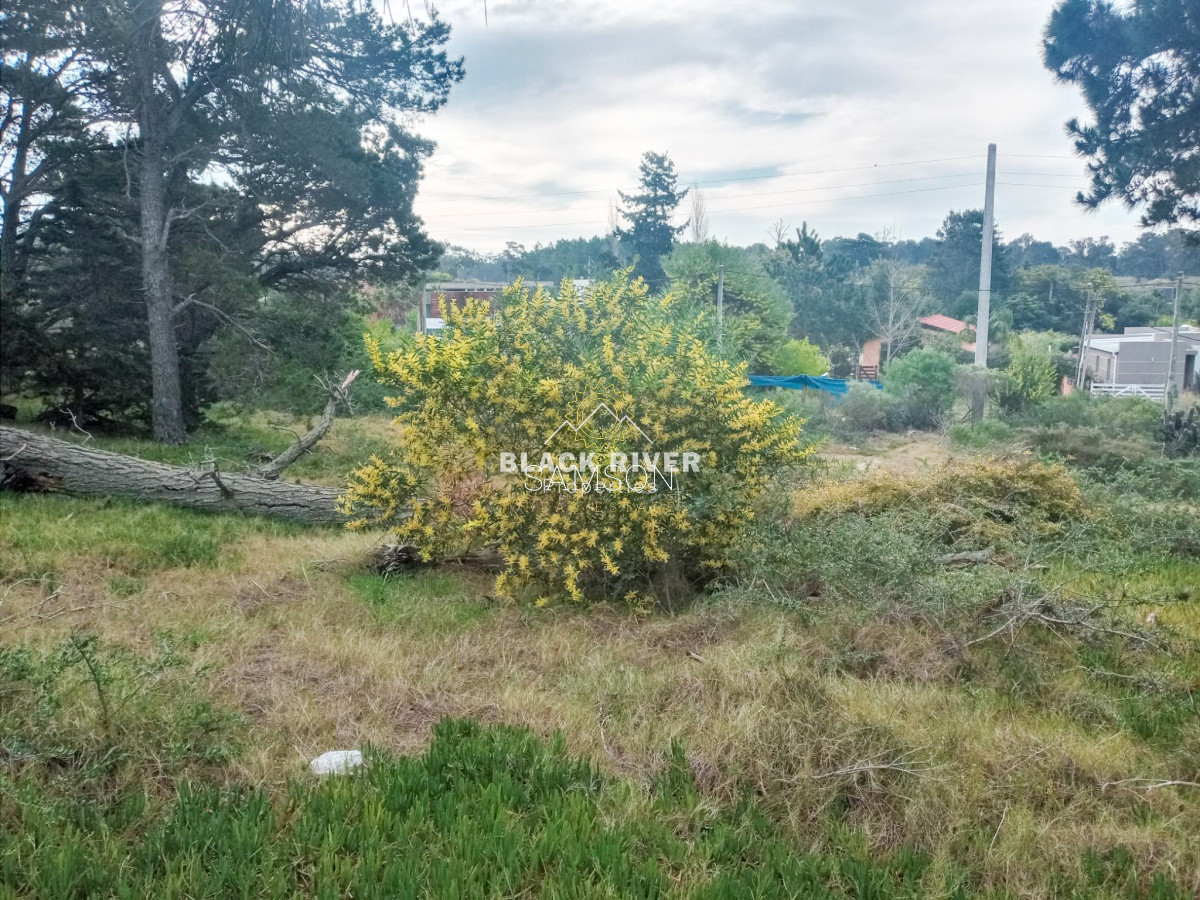 Terreno ID.64315 - Terreno Venta en Piedras del Chileno Punta del Este