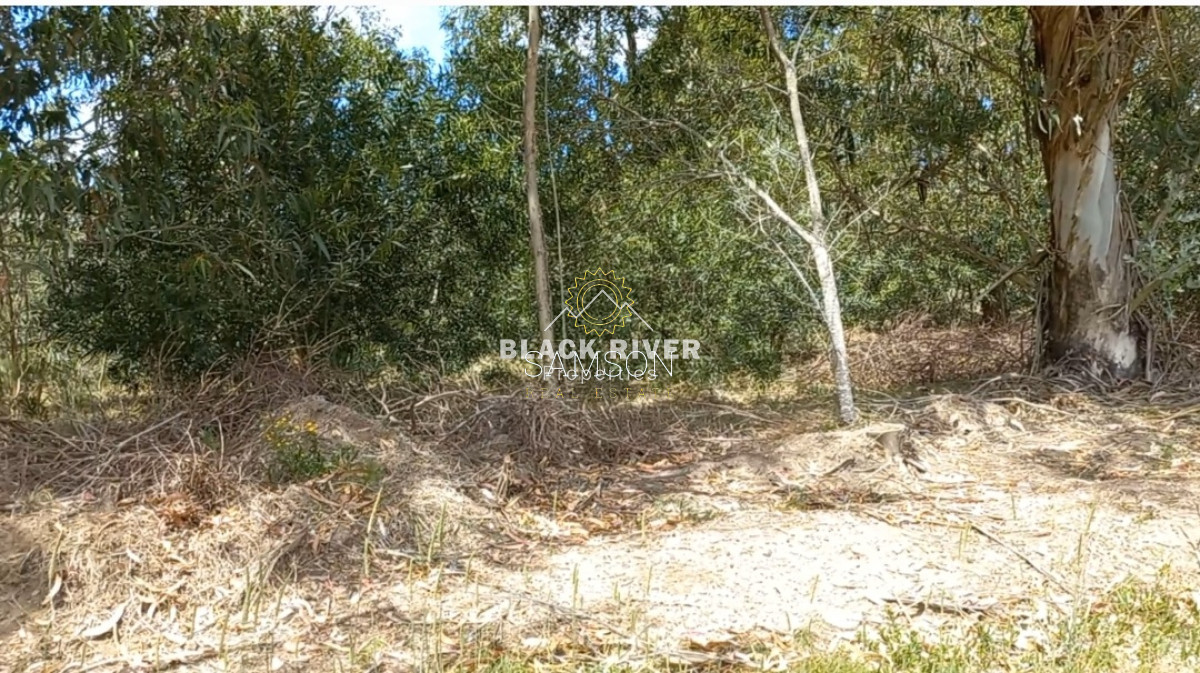 Terreno ID.65535 - Vendo Lote en Barra de Portezuelo, KM 107, Ruta Interbalnearea
