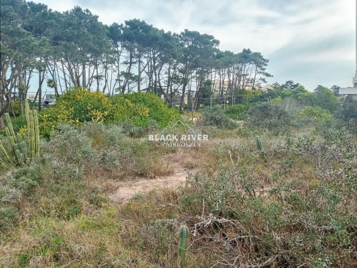 Terreno ID.64315 - Terreno Venta en Piedras del Chileno Punta del Este