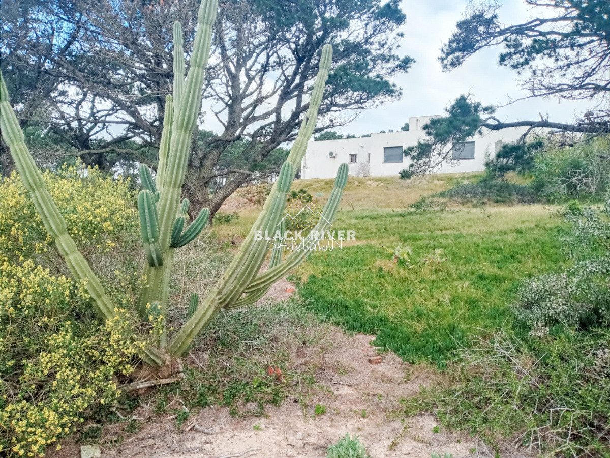 Terreno ID.64315 - Terreno Venta en Piedras del Chileno Punta del Este