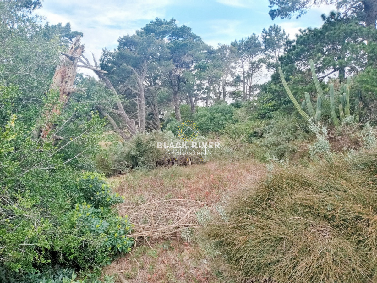 Terreno ID.64315 - Terreno Venta en Piedras del Chileno Punta del Este