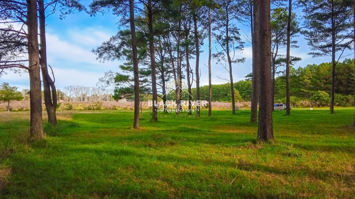 Terreno ID.64237 - Oportunidad Terreno Venta en Lussich, Punta Ballena