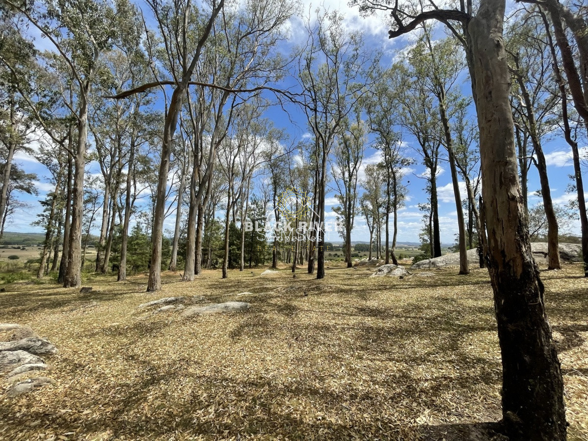Terreno ID.65971 - Venta fracción de 28 HA la sierra del Peñasco para fraccionamiento 