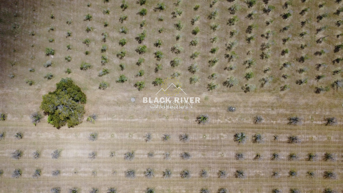 Terreno ID.65971 - Venta fracción de 28 HA la sierra del Peñasco para fraccionamiento 
