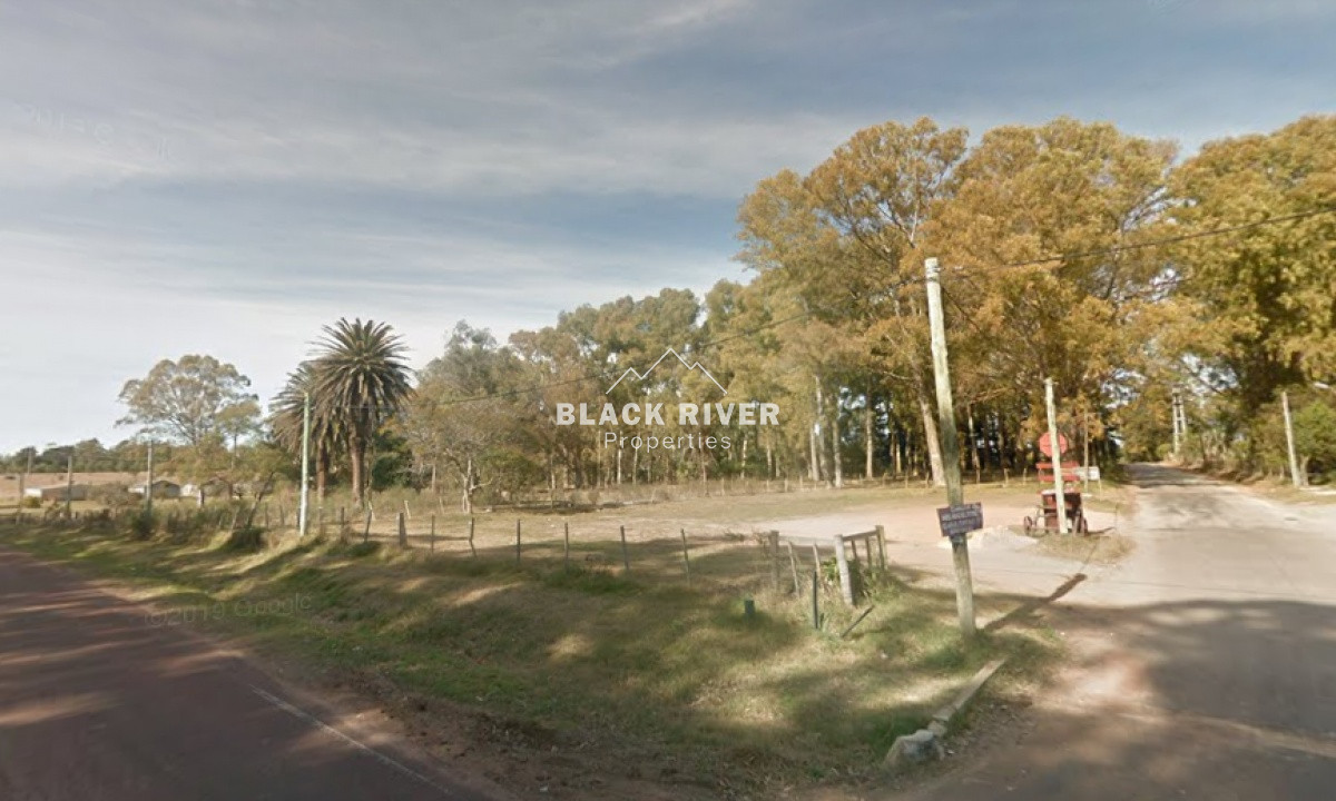 Terreno ID.64485 - 10.000 METROS DE TERRENO EN PUNTA BALLENA 