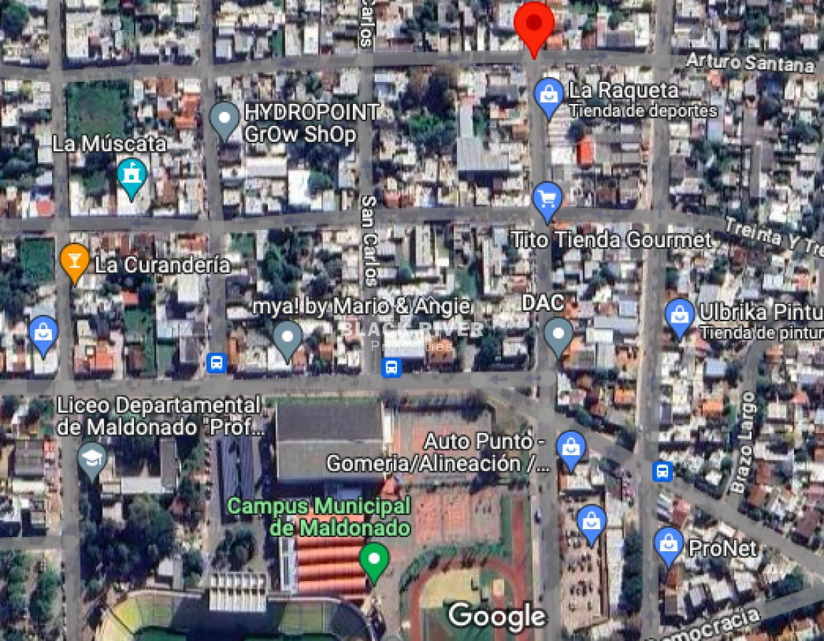 Terreno ID.66296 - Venta terreno de 1200 apto para planta baja y 9 pisos en Maldonado