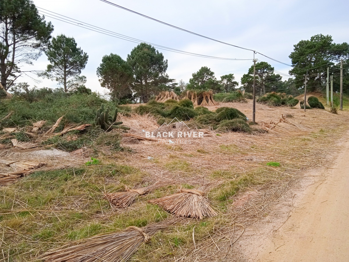 Terreno ID.64315 - Terreno Venta en Piedras del Chileno Punta del Este