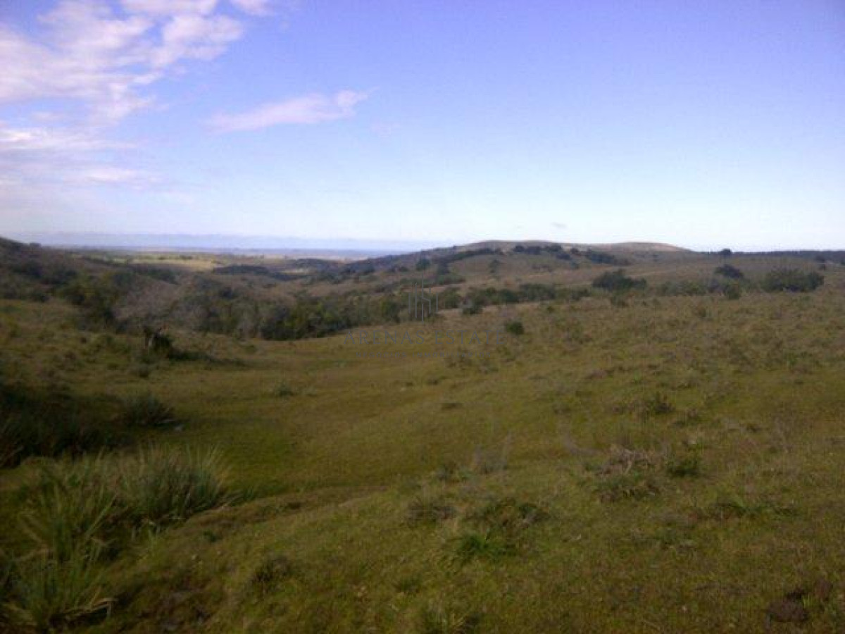 Campo Ref.1267 - VENTA CAMPO FORESTAL ROCHA 6 PADRONES 