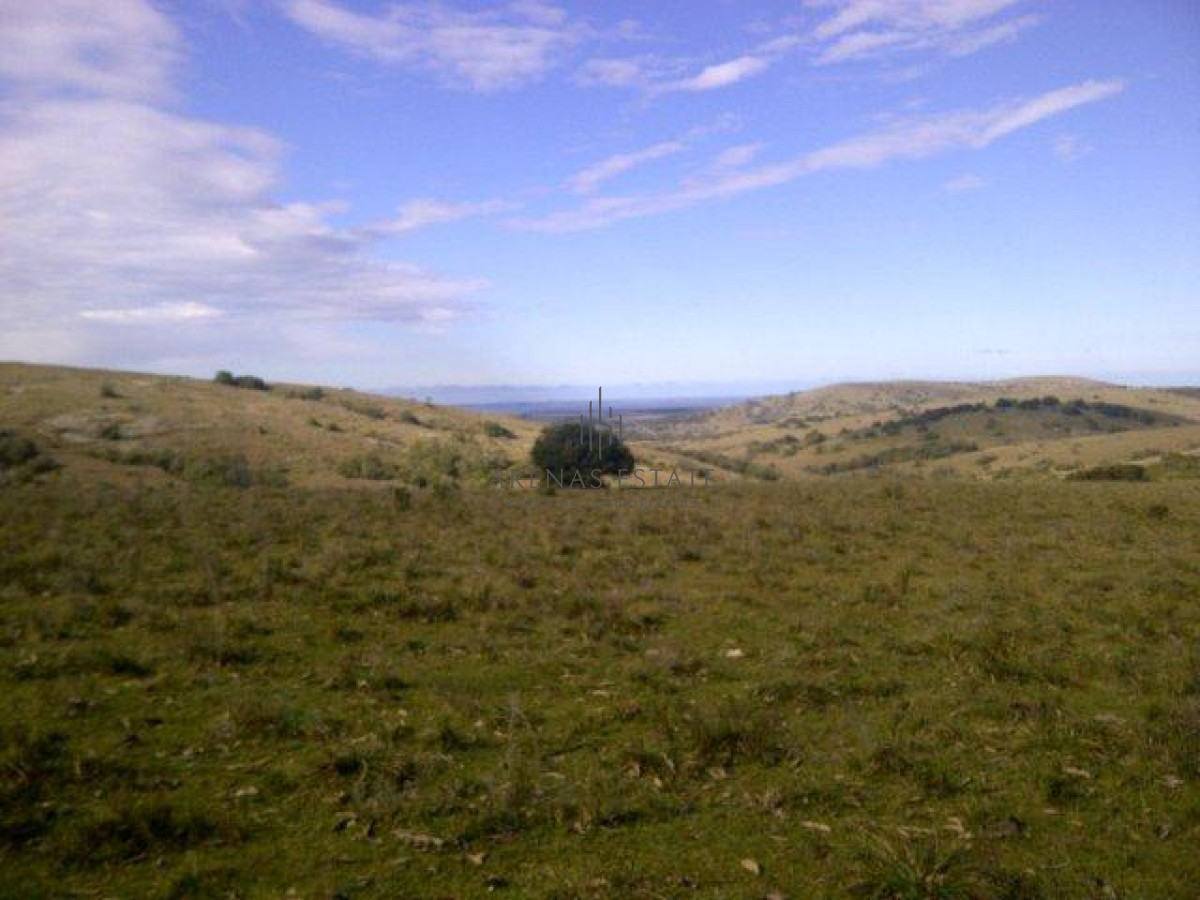 Campo Ref.1267 - VENTA CAMPO FORESTAL ROCHA 6 PADRONES 