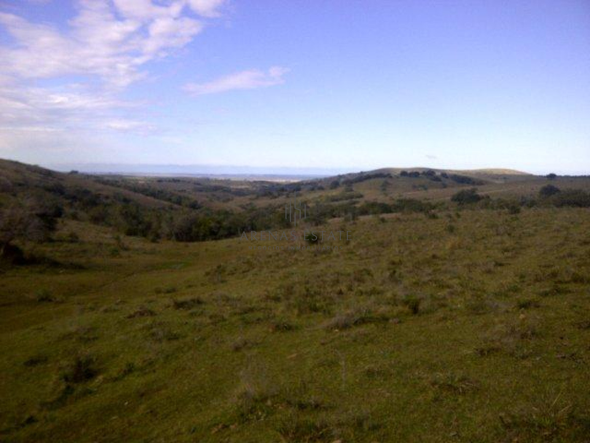Campo Ref.1267 - VENTA CAMPO FORESTAL ROCHA 6 PADRONES 