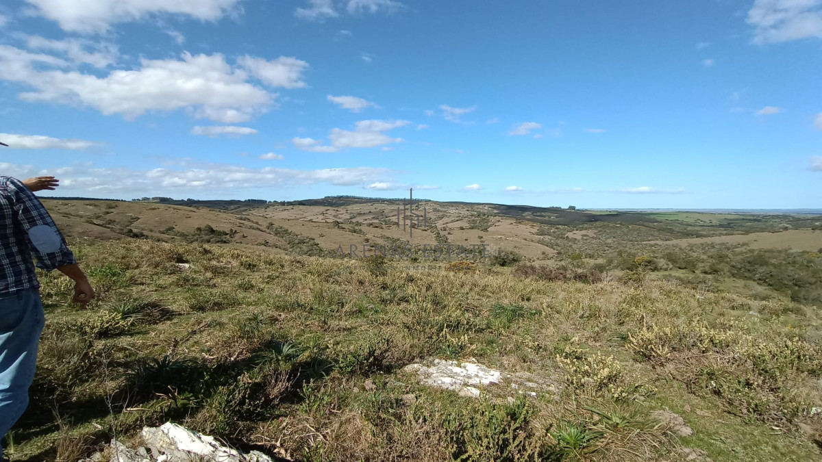 Campo Ref.1267 - VENTA CAMPO FORESTAL ROCHA 6 PADRONES 