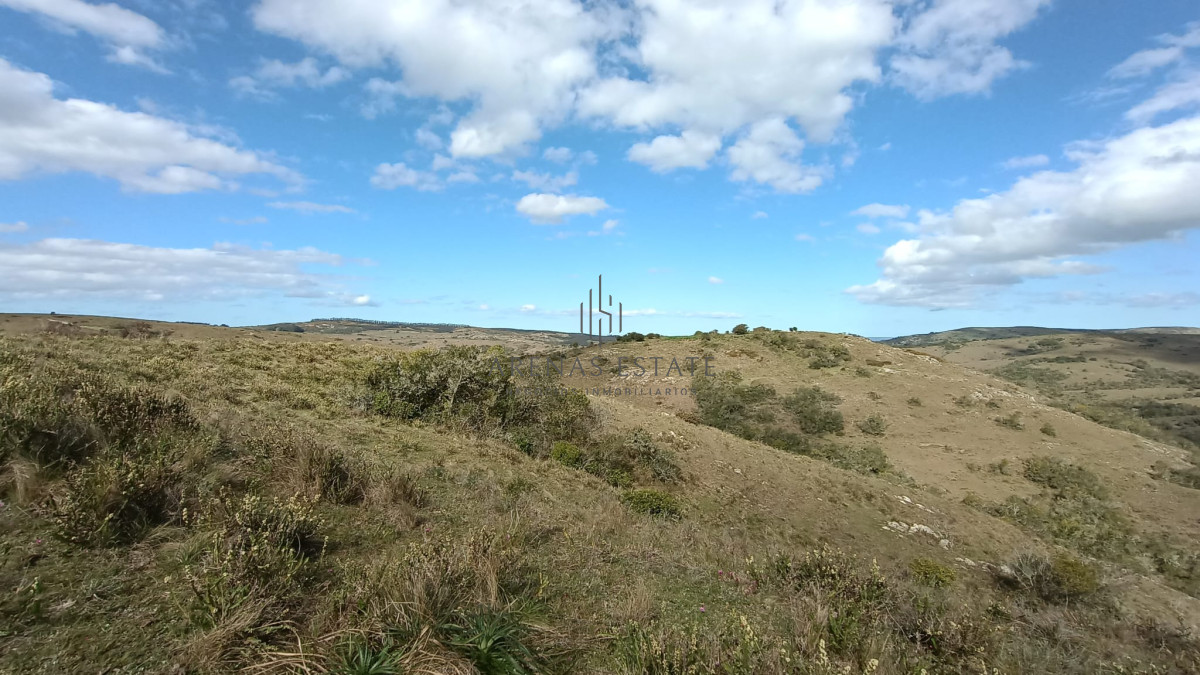Campo Ref.1267 - VENTA CAMPO FORESTAL ROCHA 6 PADRONES 