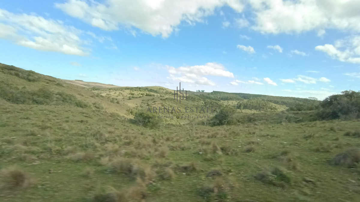 Campo Ref.1267 - VENTA CAMPO FORESTAL ROCHA 6 PADRONES 
