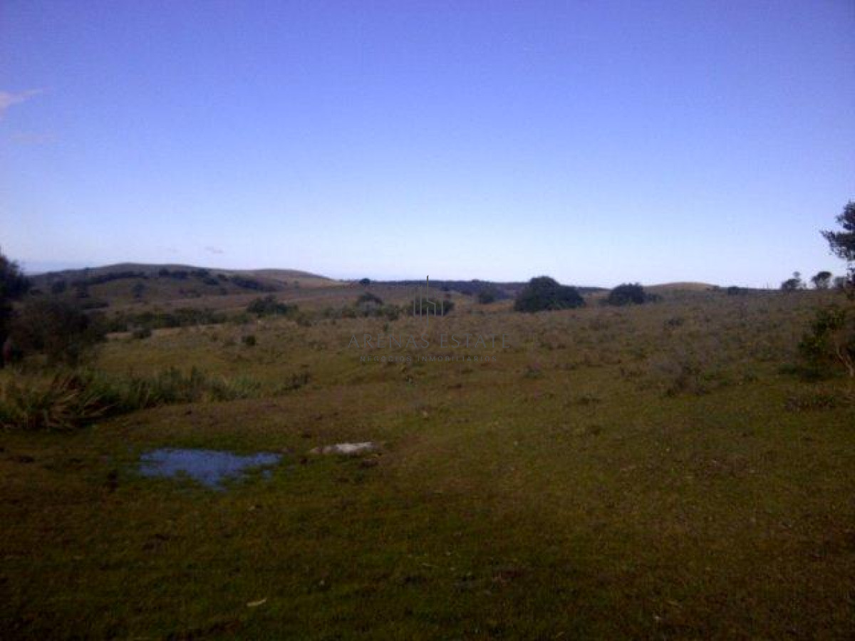 Campo Ref.1267 - VENTA CAMPO FORESTAL ROCHA 6 PADRONES 