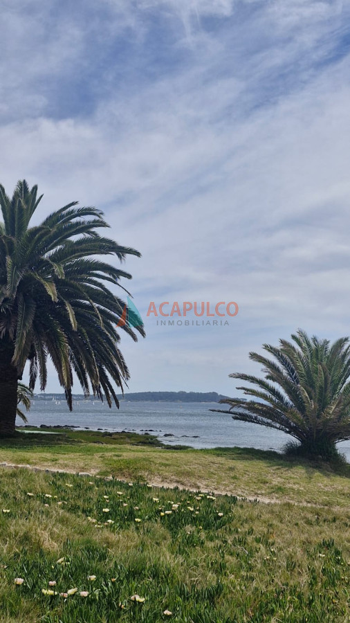 Apartamento Ref.436/Alquiler-de-apartamento-en-Punta-del-Este- - Alquiler de apartamento en Punta del Este 