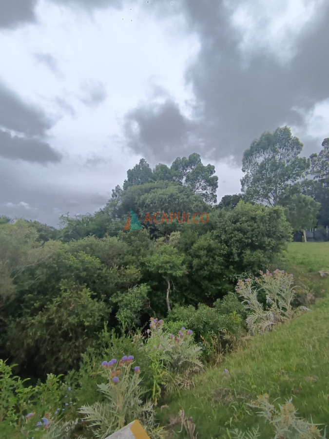 Apartamento ID.3735 - Se vende propiedad en Pan de Azúcar  de 9516 M2 sobre ruta 9 IDEAL PARA LOGISTICA VIVIENDA O COMERCIO