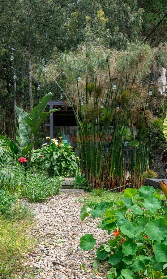 Casa ID.4704 - Venta Casa San Vicente - José Ignacio